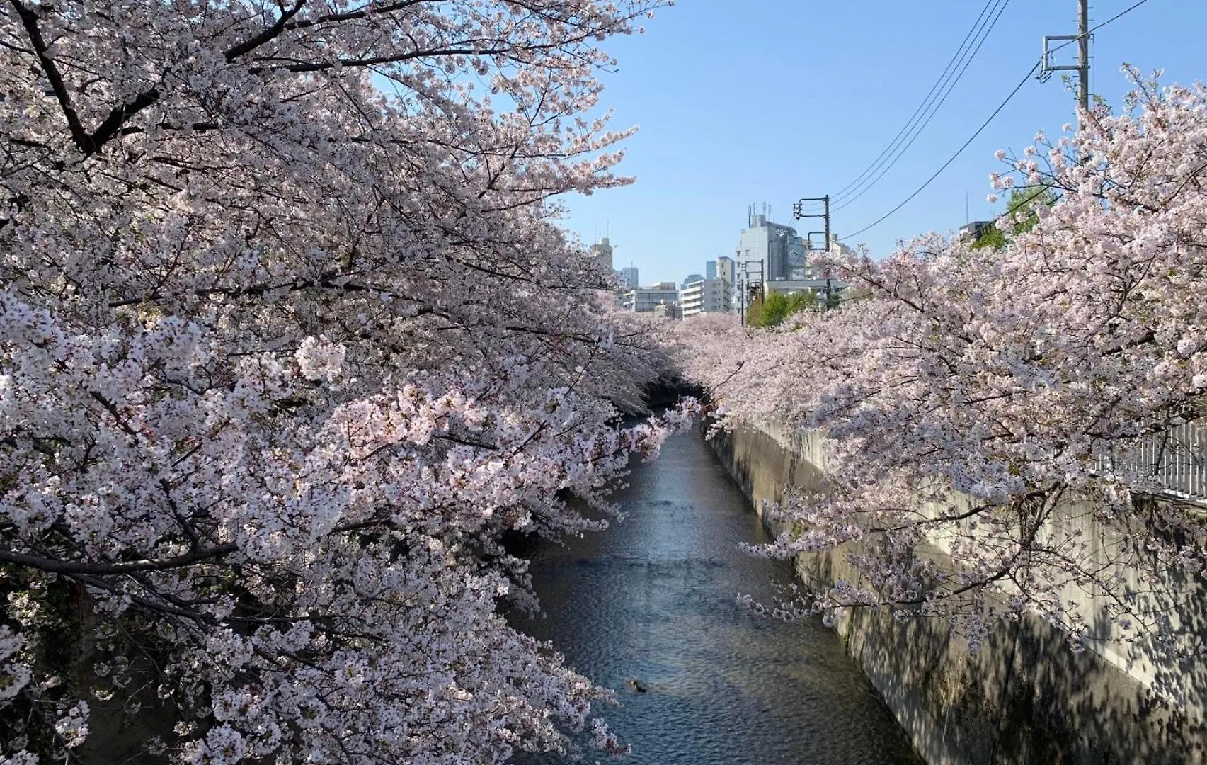 Hotel Rosenheim Tokyo Shinjuku Okubo