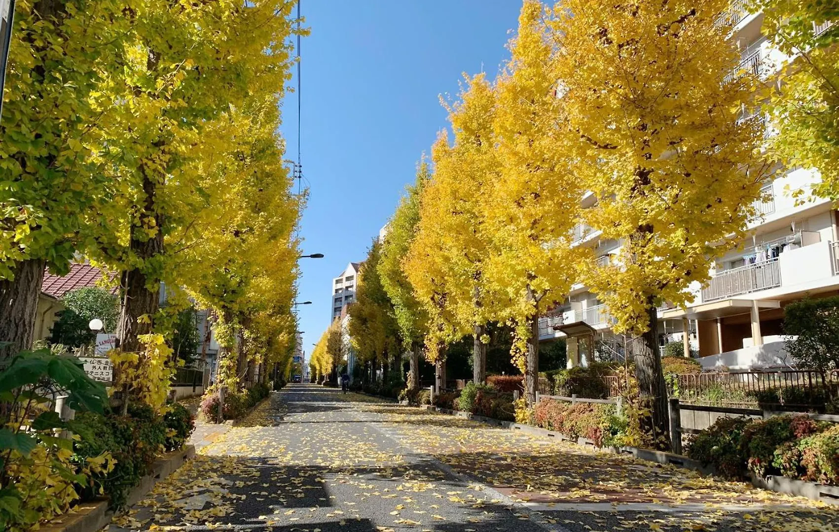 Hotel Rosenheim Tokyo Shinjuku Okubo Japón